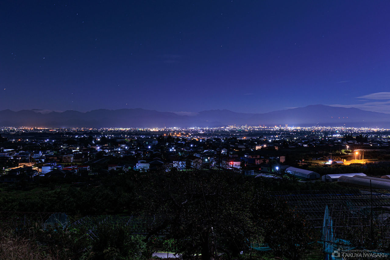 大寺桜ヶ丘公園の夜景スポット写真（3）
