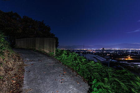 大寺桜ヶ丘公園の夜景スポット写真（5）class=