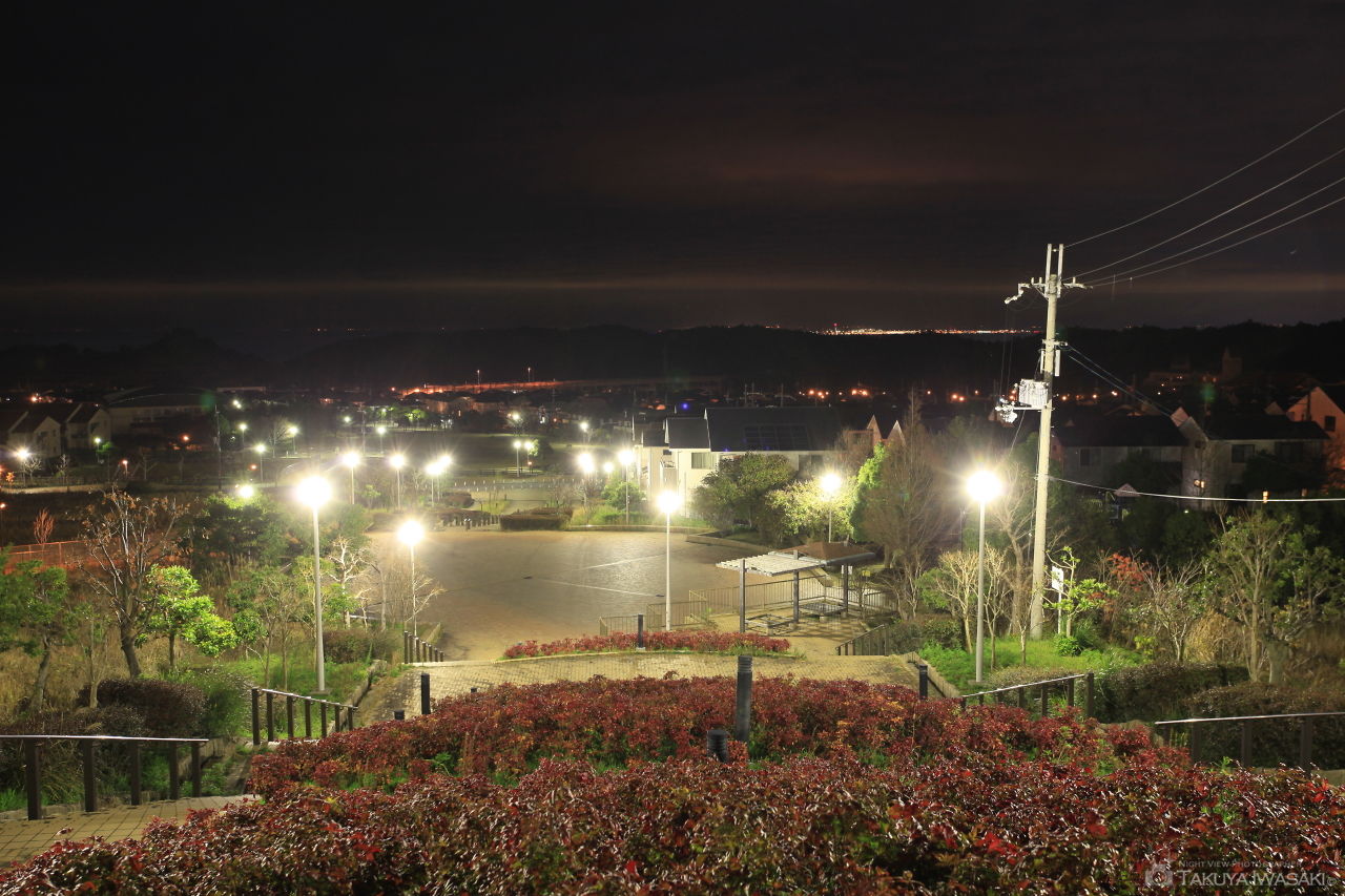 阪南スカイタウン 桃の木台専用自歩道南北線の夜景スポット写真（1）