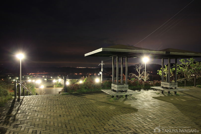 阪南スカイタウン 桃の木台専用自歩道南北線の夜景スポット写真（2）