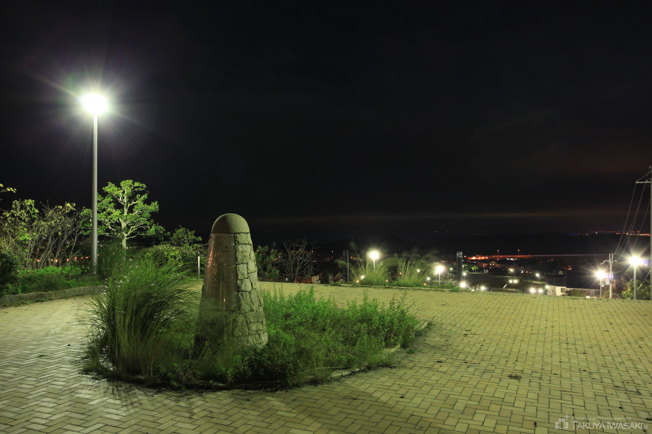 阪南スカイタウン 桃の木台専用自歩道南北線の夜景スポット写真（3）