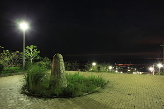 阪南スカイタウン 桃の木台専用自歩道南北線の夜景スポット写真（3）class=
