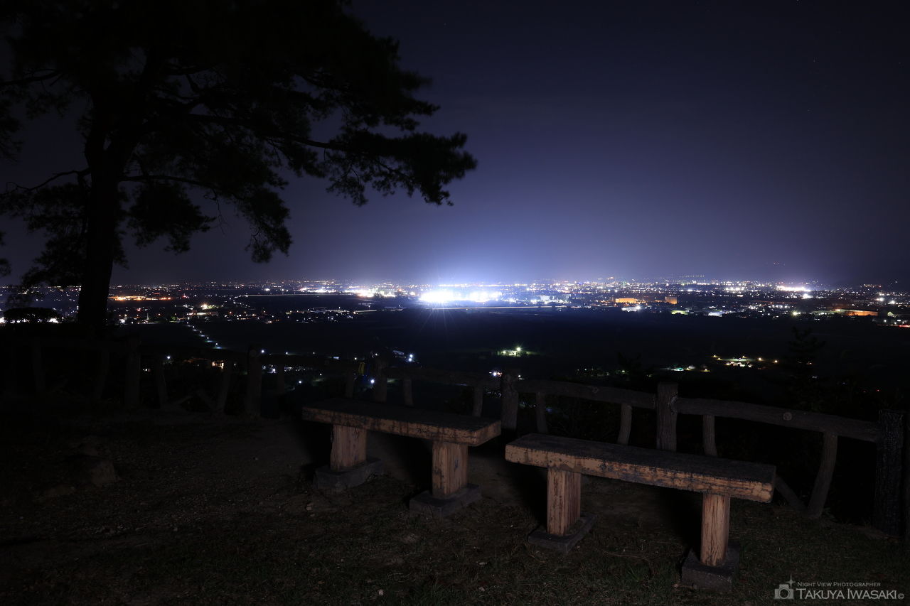 白鳳山公園 お茶屋場跡の夜景スポット写真（3）