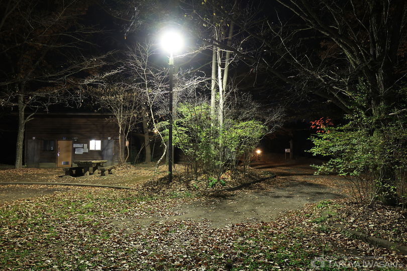 芥子坊主農村公園の夜景スポット写真（5）