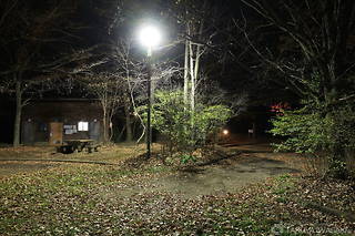 芥子坊主農村公園の夜景スポット写真（5）class=