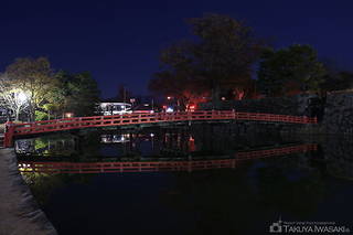 松本城公園の夜景スポット写真（4）class=