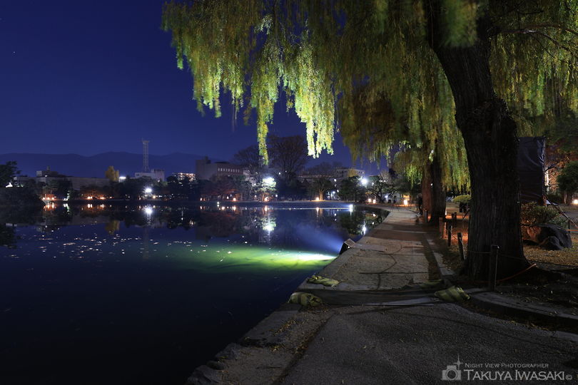 松本城公園の夜景スポット写真（5）