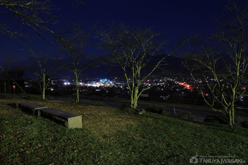 大町公園の夜景スポット写真（4）