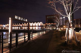 新港ふ頭客船ターミナルの夜景スポット写真（1）class=