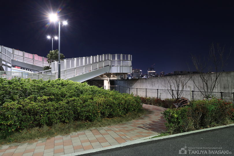 築地大橋橋詰広場の夜景スポット写真（6）
