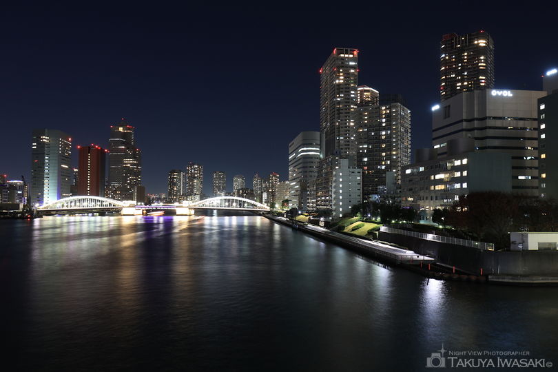 築地大橋 東側歩道の夜景スポット写真（1）