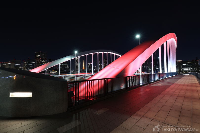 築地大橋 東側歩道の夜景スポット写真（6）