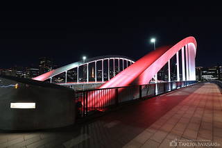 築地大橋 東側歩道の夜景スポット写真（6）class=