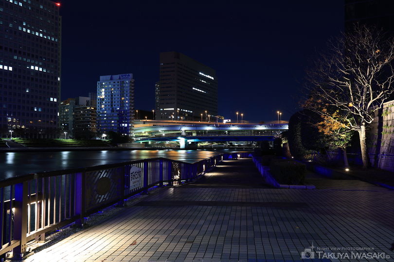 隅田川テラス　永代橋東側の夜景スポット写真（5）