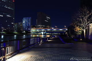 隅田川テラス　永代橋東側の夜景スポット写真（5）class=