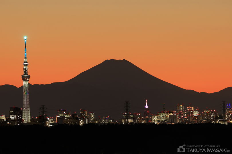 鎌ヶ谷市役所　かまがやスカイビューの夜景スポット写真（1）