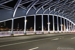 永代橋　南側歩道の夜景スポット写真（3）class=
