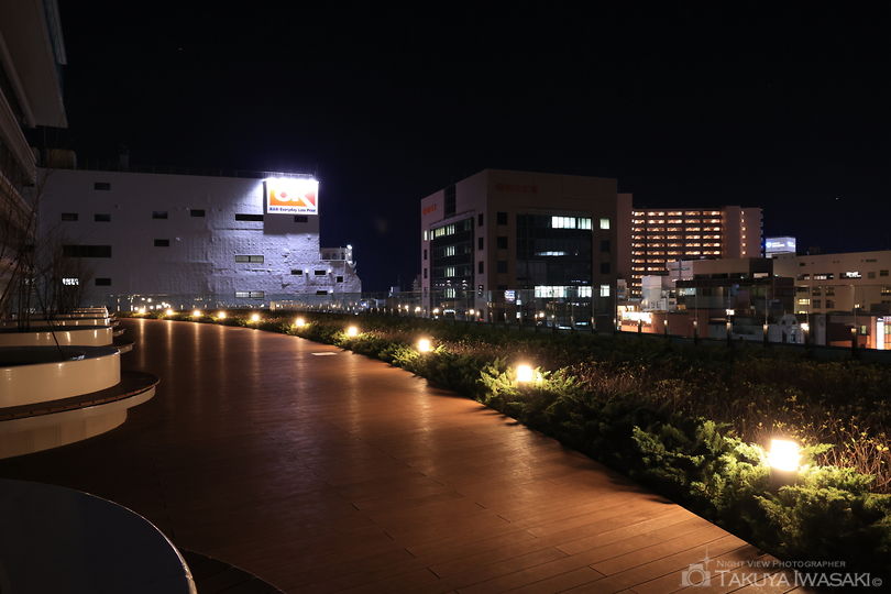 藤沢市役所本庁舎　展望デッキの夜景スポット写真（6）