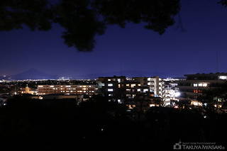 藤が谷エリアの住宅街の夜景