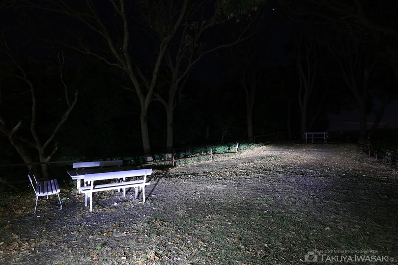 片瀬山の夜景スポット写真（3）