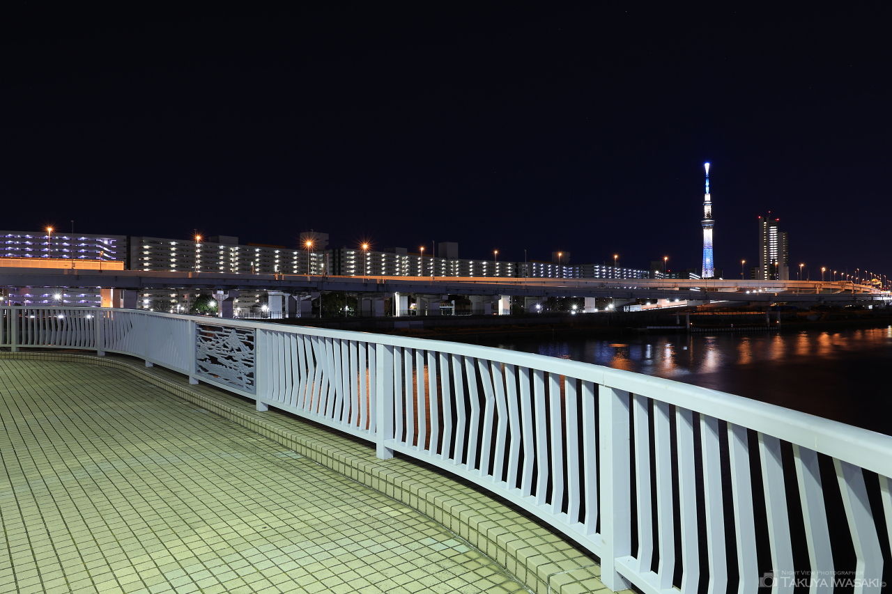 水神大橋の夜景スポット写真（5）