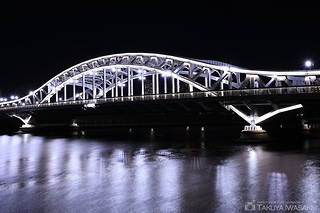隅田川テラス　白鬚橋東側の夜景スポット写真（2）class=