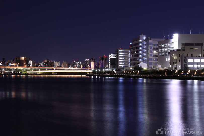 隅田川テラス　白鬚橋東側の夜景スポット写真（3）