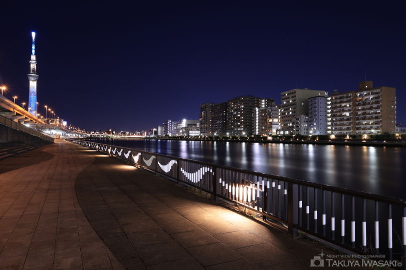 隅田川テラス　白鬚橋東側の夜景スポット写真（5）