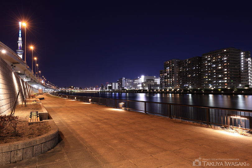 隅田川テラス　白鬚橋東側の夜景スポット写真（6）