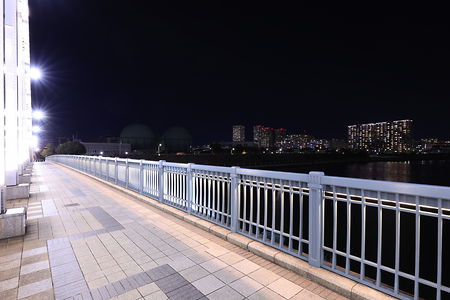 白鬚橋　北側歩道の夜景スポット写真（4）class=