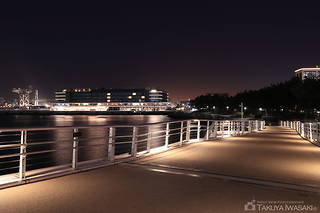 女神橋の夜景スポット写真（4）class=