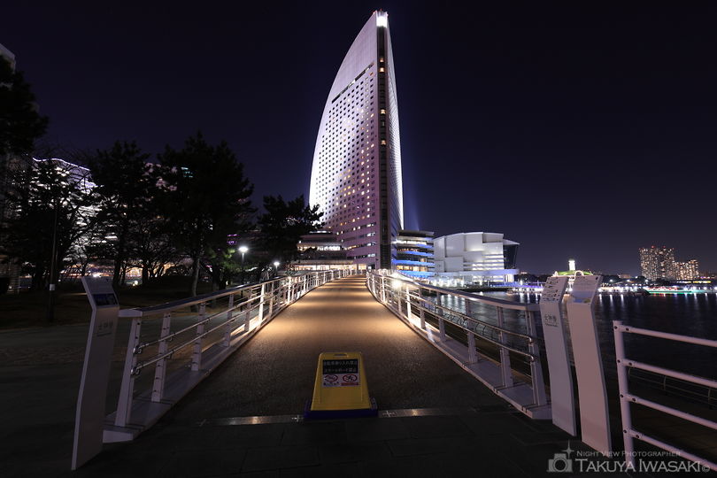 女神橋の夜景スポット写真（6）
