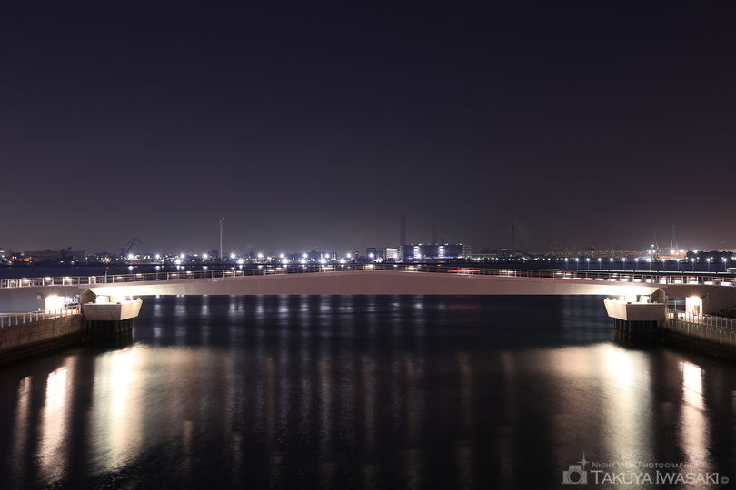 国際橋の夜景スポット写真（5）