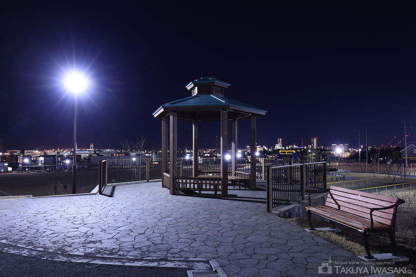 鶴見花月園公園の夜景スポット写真（5）