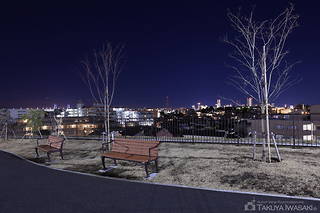 鶴見花月園公園の夜景スポット写真（6）class=