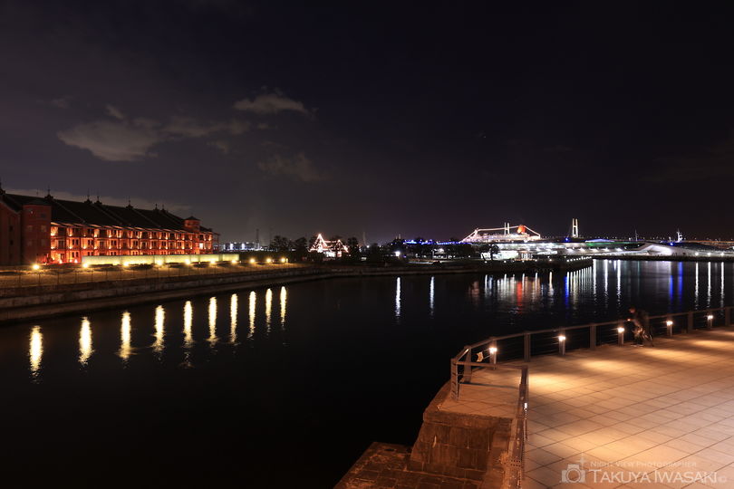 新港橋梁の夜景スポット写真（5）