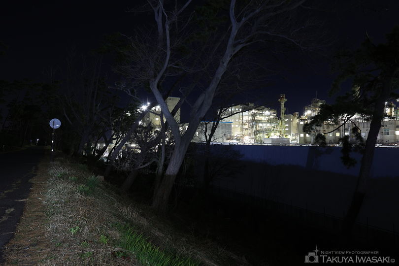 宮島の夜景スポット写真（6）