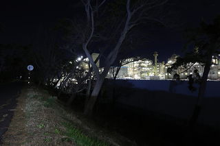 宮島の夜景スポット写真（6）class=