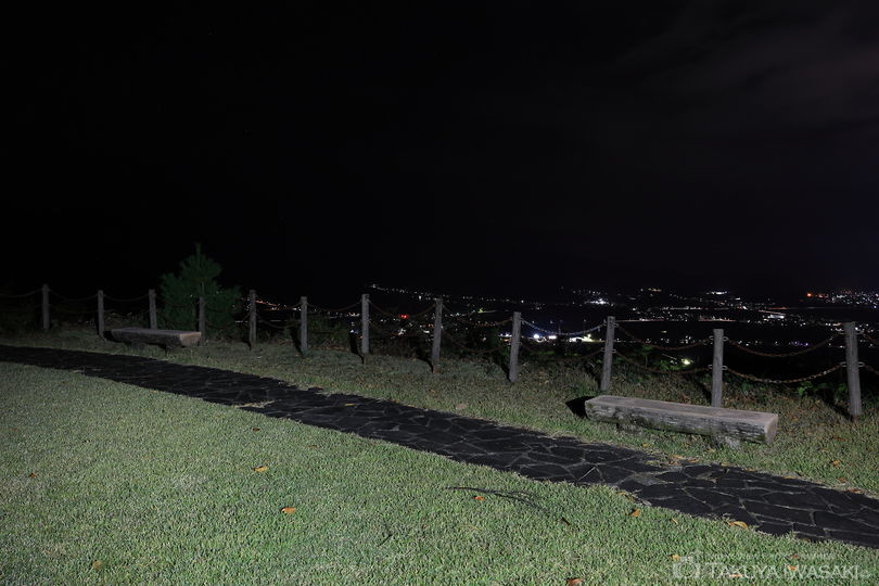 道光高原緑地公園の夜景スポット写真（3）