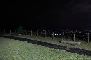 道光高原緑地公園の夜景スポット写真（3）class=