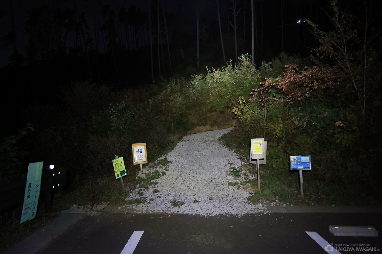 亀山展望台の夜景スポット写真（6）