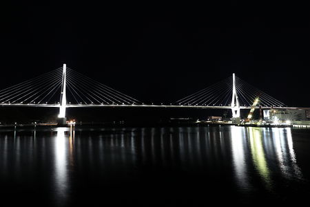 気仙沼湾横断橋展望スポットの夜景スポット写真（1）class=