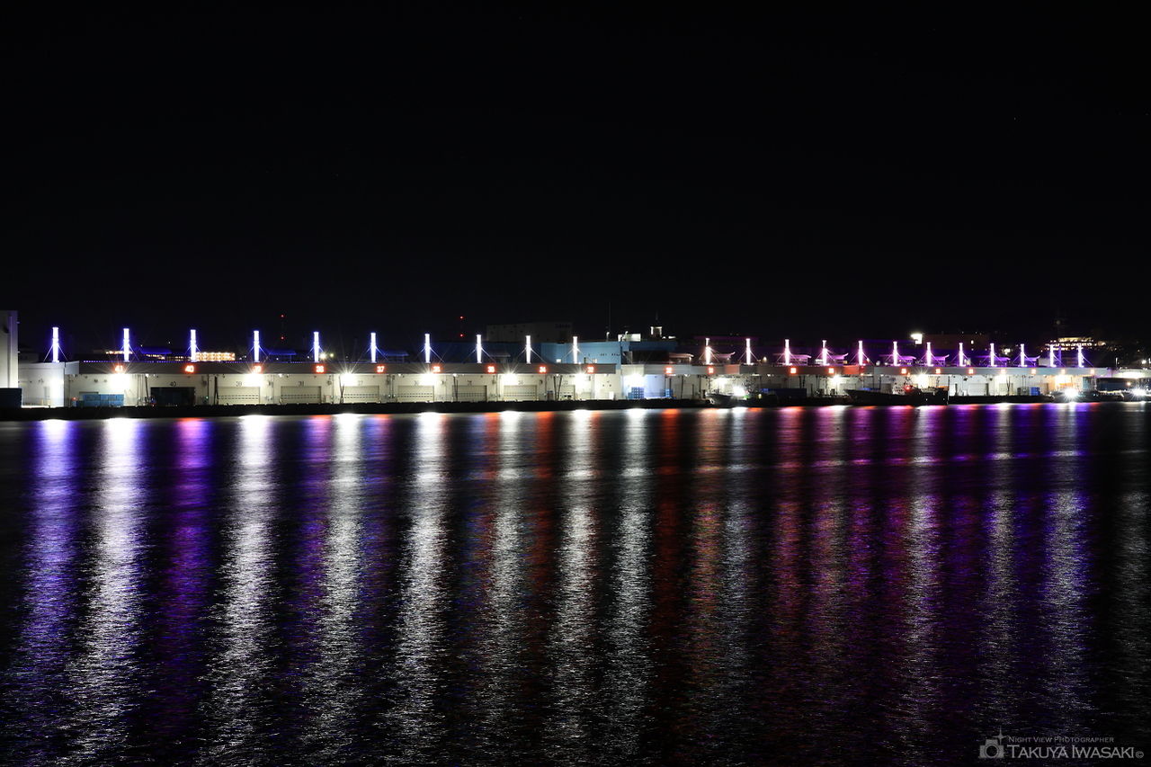 気仙沼湾横断橋展望スポットの夜景スポット写真（4）