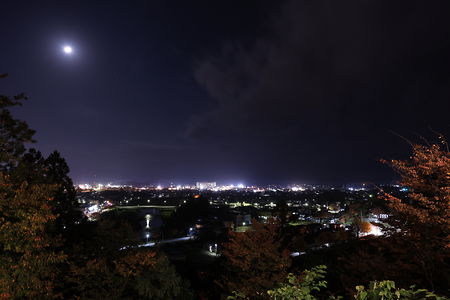 横手公園の夜景スポット写真（1）class=