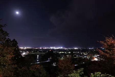 横手公園の夜景