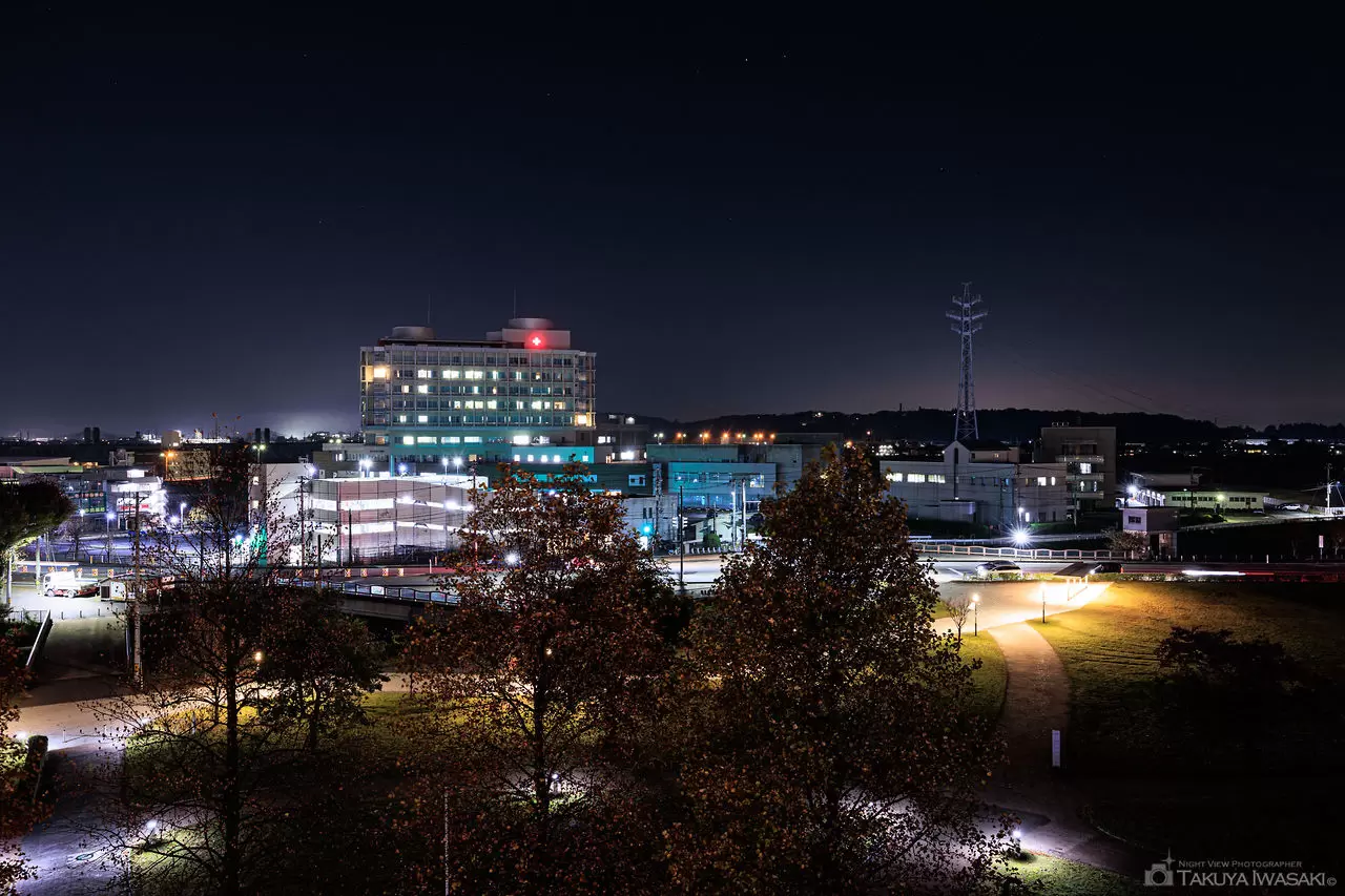 天門橋展望台 南塔・富岩運河環水公園の夜景（富山県富山市）