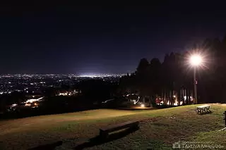 閑乗寺公園　散居村展望広場の夜景