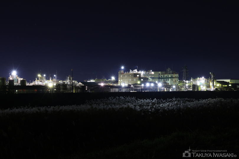 小矢部川河川敷の夜景スポット写真（2）