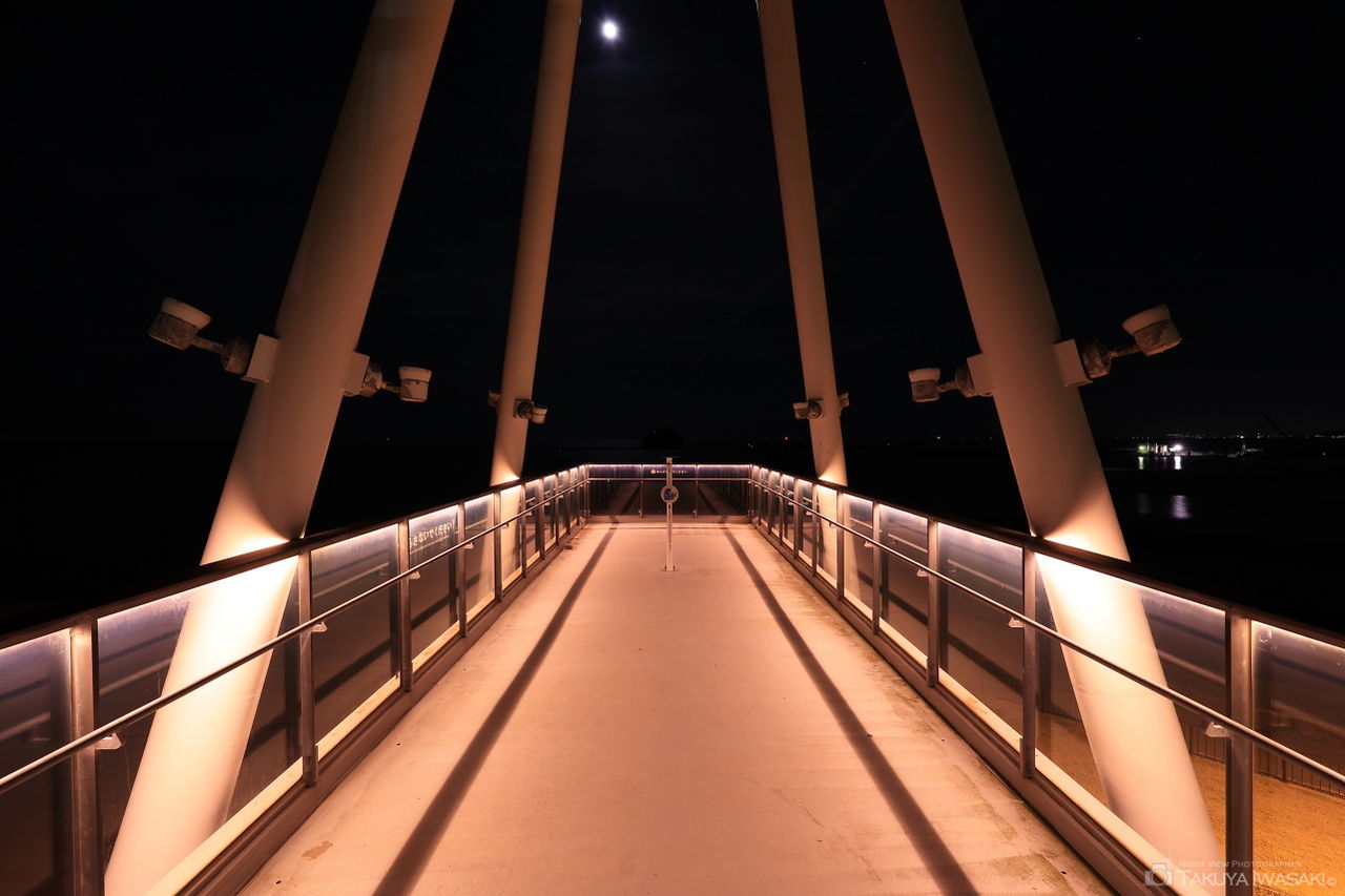 比美乃江公園 展望台の夜景スポット写真（3）