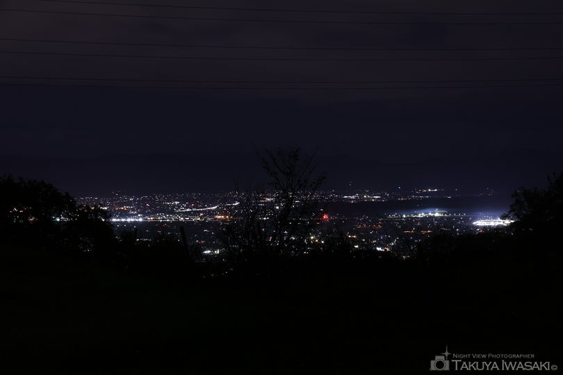 稲葉山 観光ビュースポットの夜景スポット写真（3）